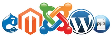 CMS platforms — Drupal, Magento, Joomla, WordPress